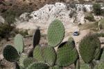 Ford Fiesta WRC Rally of Mexico 2012 года